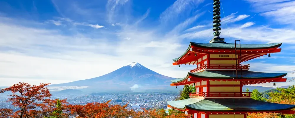What Unique Cultural Insights Can Seniors Gain While Traveling in Japan?